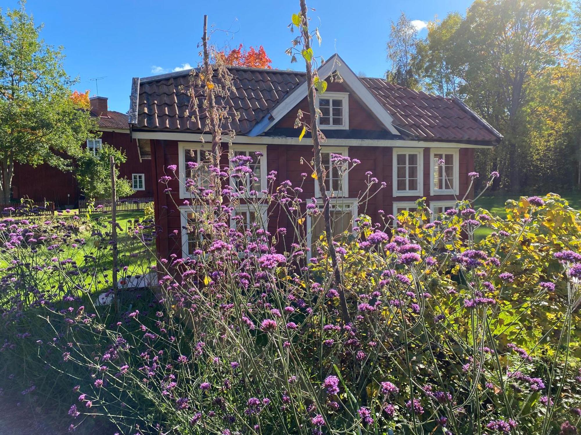 Haelsingegarden Erik-Anders Bed & Breakfast Soderhamn Exterior photo